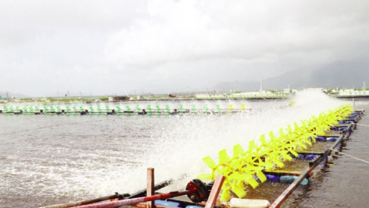 Kiểm soát tốt chất thải để đảm bảo chất lượng nước