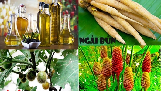 Kết hợp thảo dược hỗ trợ miễn dịch và tăng khả năng đề kháng trên cá rô phi