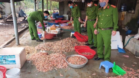 Mua tôm chết sơ chế thành tôm nõn bán cho khách