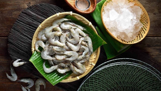 Khôi phục thị trường xuất khẩu tôm