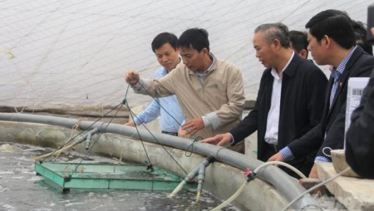 Thủy sản tăng tốc nắm bắt thời cơ