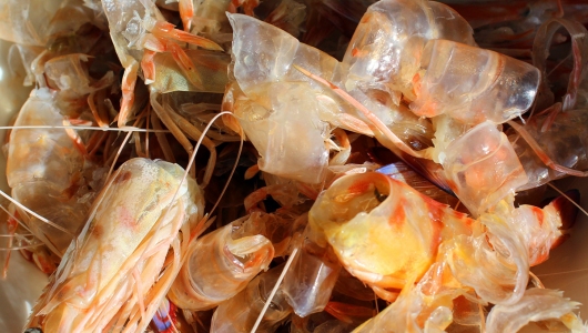 Phụ phẩm tôm: Từ vô giá trị trở thành vô giá