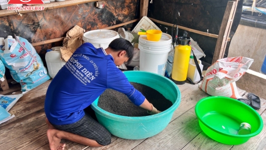 Bổ sung Magie cho tôm