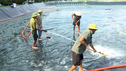 Phòng Bệnh Ký Sinh Trùng Trên Tôm