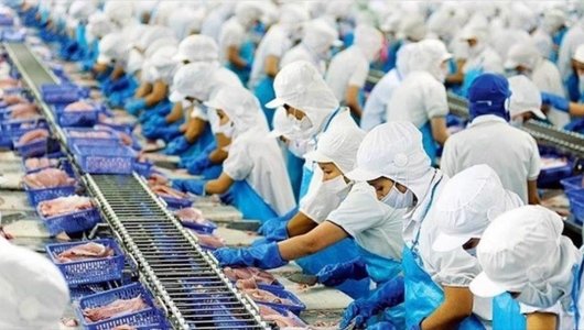 Thặng dư thương mại thủy sản trong 10 tháng tăng 17.2%