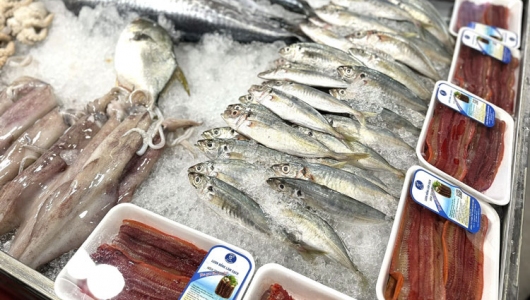 Xuất khẩu nông sản Việt Nam năm 2024 đạt nhiều kỷ lục mới