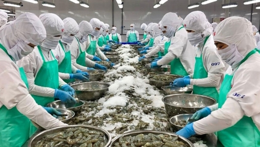 Mỹ áp thuế 46% với Việt Nam: VASEP kiến nghị 