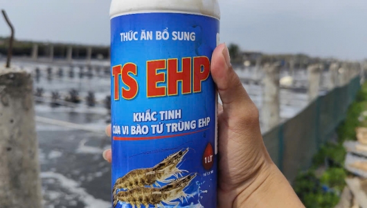 Giải Pháp Phòng Và Hỗ Trợ Điều Trị EHP của Trường Sinh Group