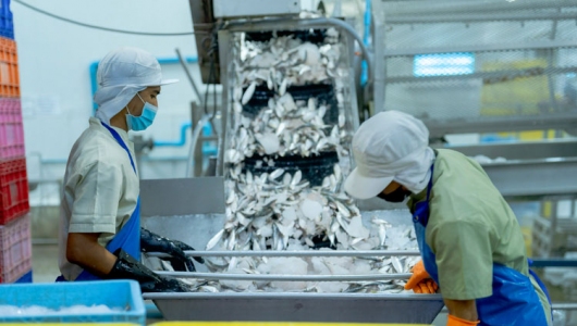 Linh hoạt và hợp lý sẽ mở ra một 