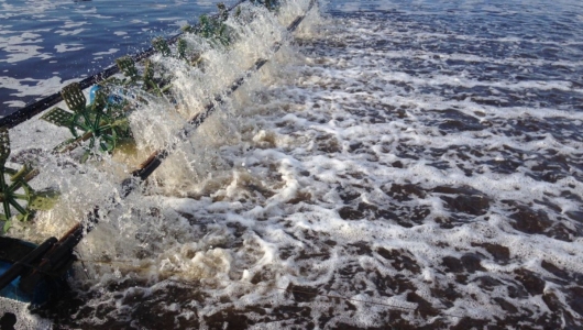 Khí độc ao tôm: Nguy cơ và hướng xử lý