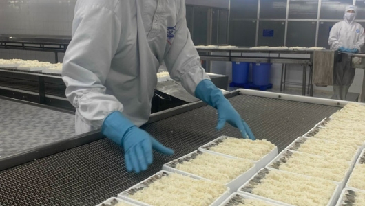 Xuất khẩu tôm: Khó, nhưng vẫn kịp về đích