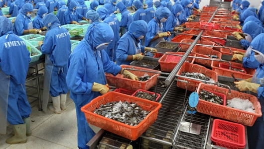 Năm 2020: Cơ hội mở rộng thị trường xuất khẩu thủy sản sang Bra-xin