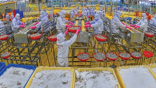 Doanh nghiệp thủy sản lo thiếu lao động
