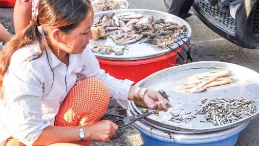 Cá nước ngọt khan hiếm, giá cao